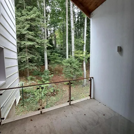 The Rock Apartment Sinaia Exterior photo