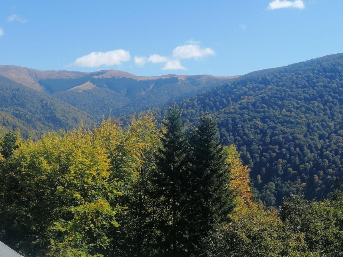 The Rock Apartment Sinaia